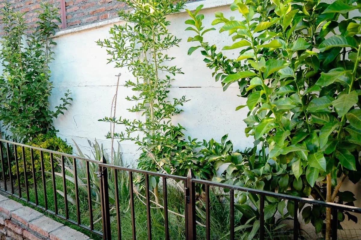 Venta – Casa En Maipú